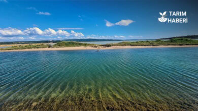 Türkiye’de 5 yeni alan sulak koruma statüsüne kavuştu