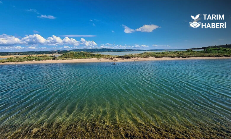 Türkiye’de 5 yeni alan sulak koruma statüsüne kavuştu