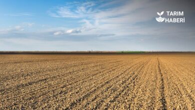 CHP'li Barut'tan asırlık tarım arazilerinin Emine Erdoğan’ın Vakfına tahsis edilmesi kararına tepki