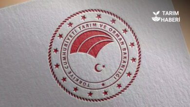 Tarım ve Orman Bakanlığı 200 sözleşmeli personel alacak