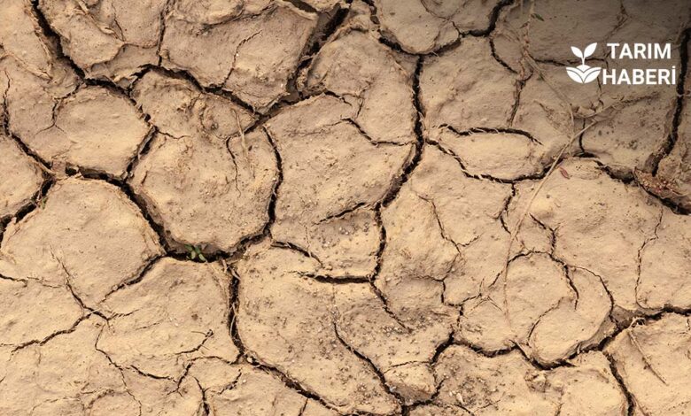 TARSİM’den çiftçiye 2,5 milyar lira destek