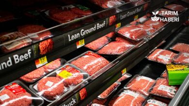 Trump'ın Arjantin’den et ithal etme önerisi tepki çekti.