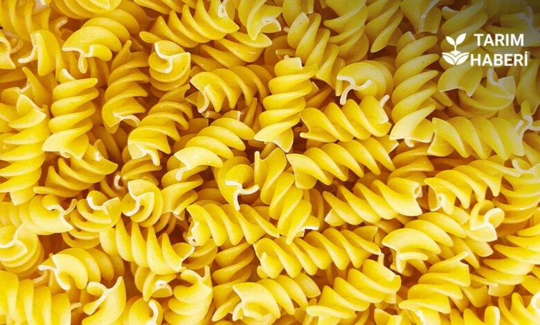 Türkiye, makarnada dünyanın ikinci büyük ihracatçısı