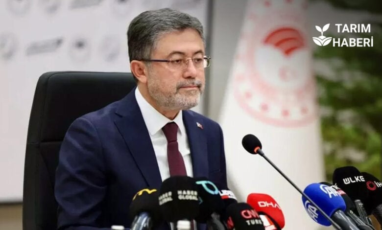 Yeşil Vatan ile 1 yılda 550 milyon fidan toprakla buluşacak.