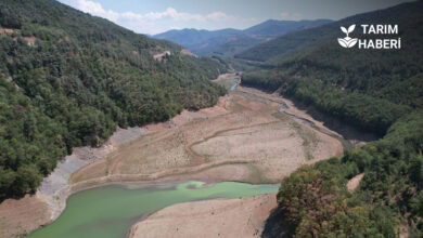 Bursa’da baraj doluluk oranları düştü, yer altı suları tükeniyor