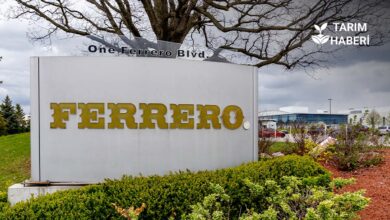 Ferrero’nun fındık alımını durdurmasına Ankara'dan tepki