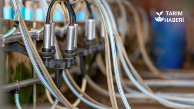 Hayvancılıkta verimi artıran makineler