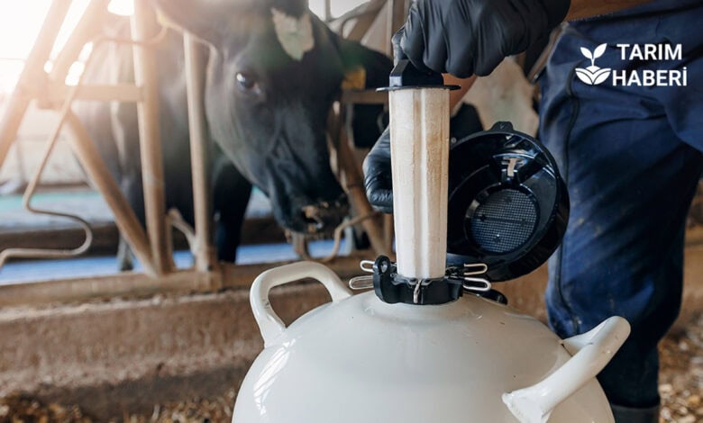 Hayvanlarda suni tohumlama