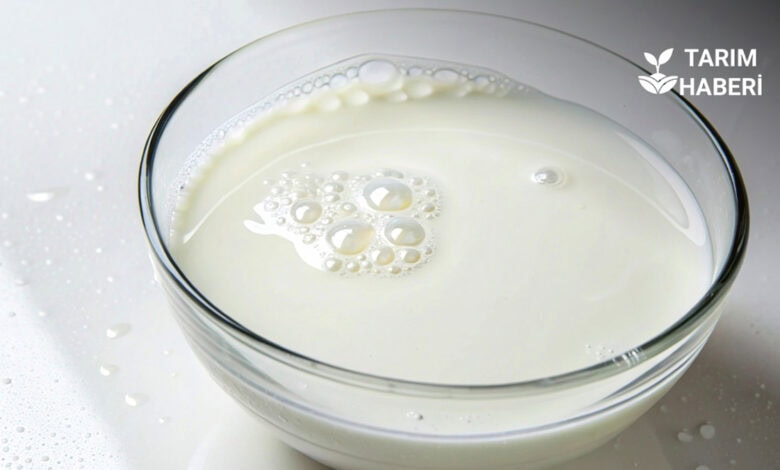 Jersey süt nedir, besin değerleri ve faydaları