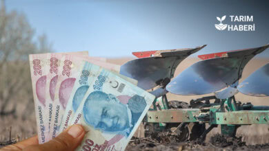 Kasım ayının ilk tarımsal destek ödemeleri yapılmaya başlandı