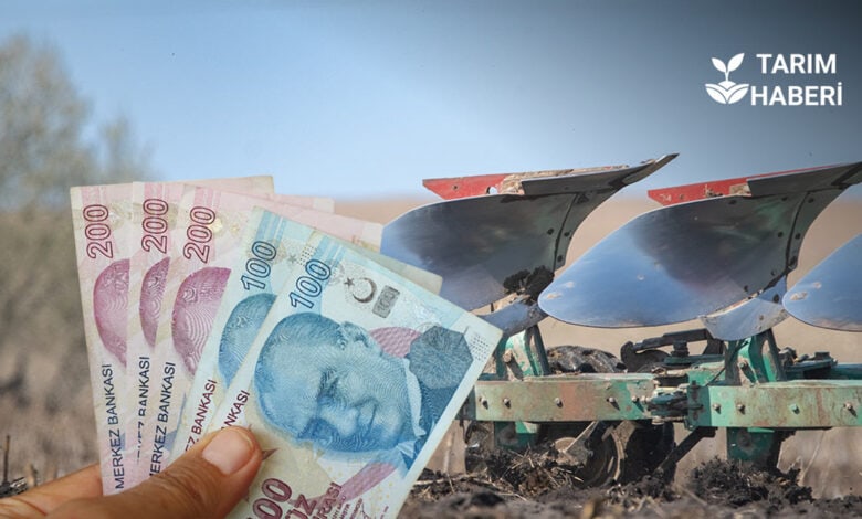 Kasım ayının ilk tarımsal destek ödemeleri yapılmaya başlandı