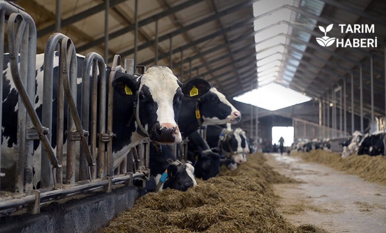 “Kırsalda Bereket Hayvancılığa Destek” bilgilendirme duyurusu