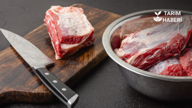 Küresel et fiyatları yükselişte