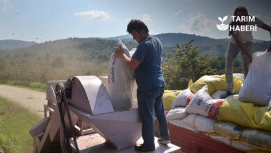 Patoz makinesi nedir, ne işe yarar