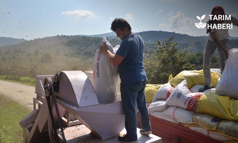 Patoz makinesi nedir, ne işe yarar