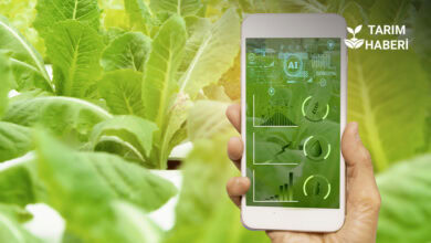 Tarım Bakanlığı'nın AIPA Yapay Zeka Projesi'ne tepki