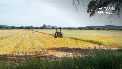 TARSİM'den üreticilere 27 milyar lira hasar ödemesi