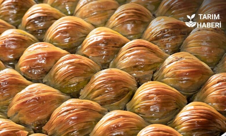 Türkiye'nin Avrupa Birliği Coğrafi İşaretli Ürünleri