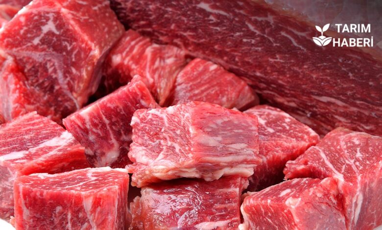 UKON Kırmızı Et Sektörü Değerlendirme Raporu’nu Yayımladı