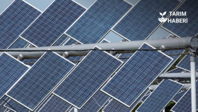 Agrivoltaik tarım sistemleri