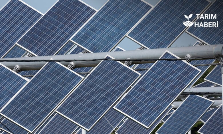 Agrivoltaik tarım sistemleri