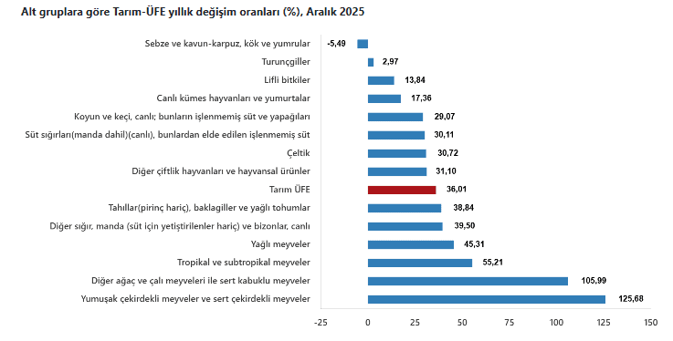 Alt gruplara göre yıllık değişim oranları