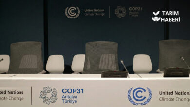 Tartışmalı İklim Kanunu Süreci ve COP31'e Doğru: Neredeyiz?