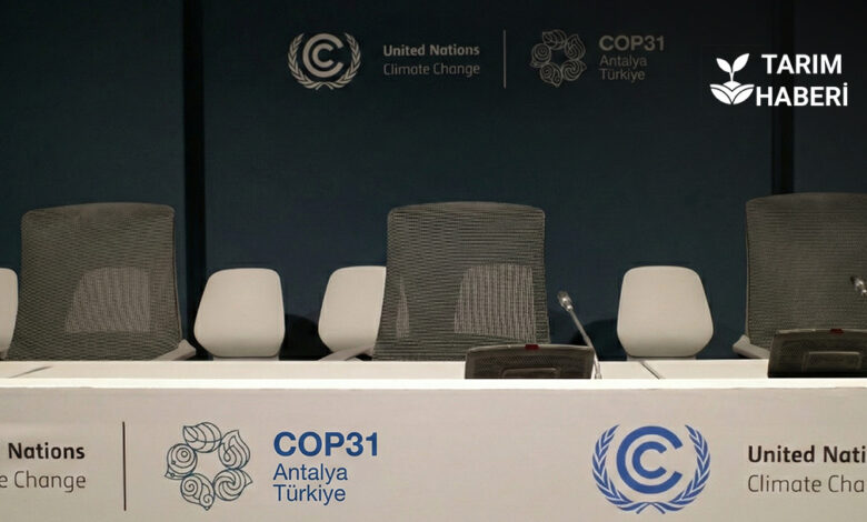 Tartışmalı İklim Kanunu Süreci ve COP31'e Doğru: Neredeyiz?