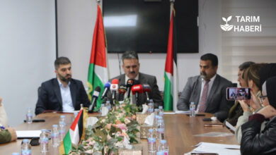 Filistin tarım sektörü raporu