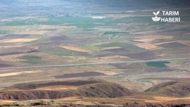 Genel tarım sayımı uzatıldı