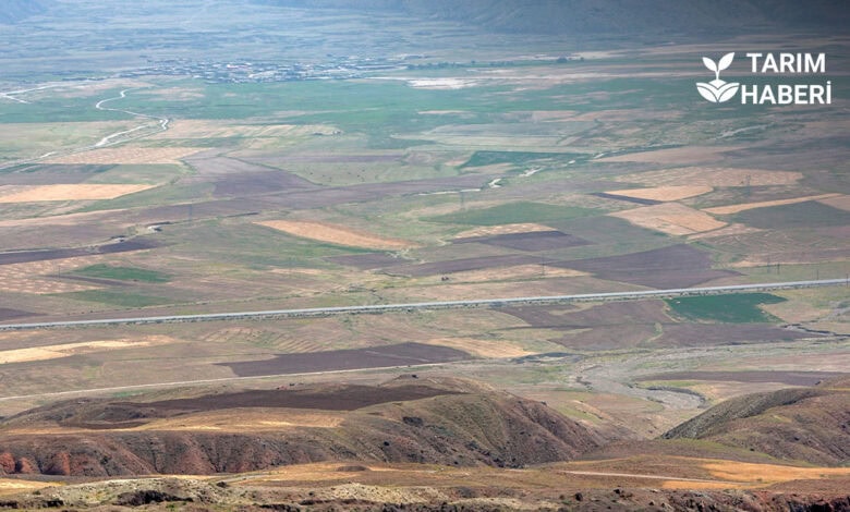 Genel tarım sayımı uzatıldı