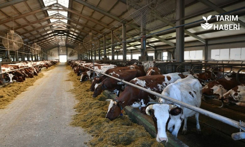 2026 hastalıktan ari işletme destekleri