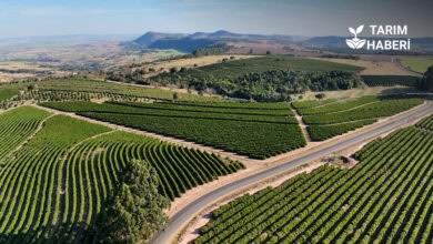 Kırsal kalkınma desteklerinde hibe artışı