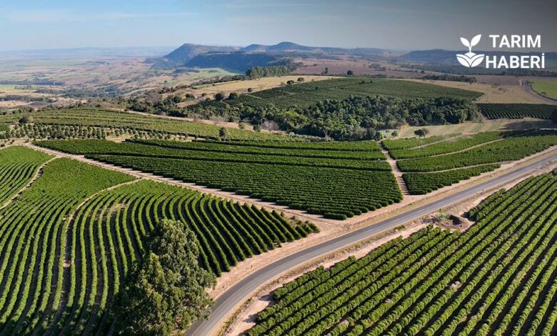Kırsal kalkınma desteklerinde hibe artışı