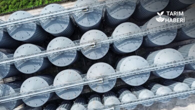 Küresel gıda krizi