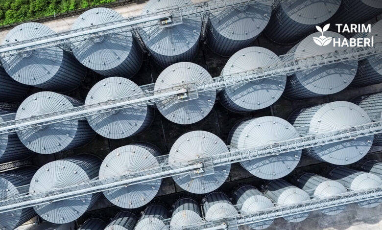 Küresel gıda krizi