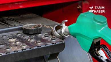 Mazot ve gübre desteği ne zaman yatacak