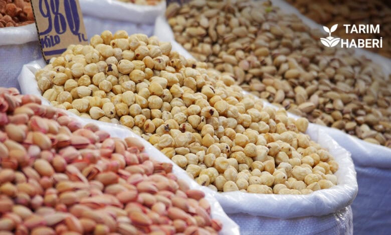 TGDF: Türkiye'nin Tarım, Gıda ve İçecek İhracatı Yüzde 1,02 Azaldı