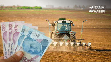 Tarım Sigortasında Prim Desteği %70’e Yükseldi