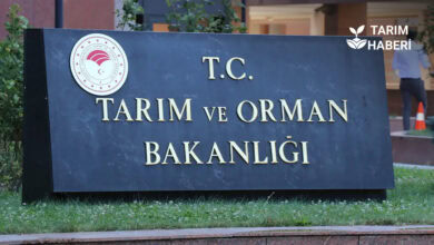 Tarım ve Orman Bakanlığı, 2026 yılı Ulusal Staj Programı başvuruları