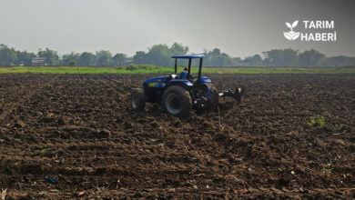 Tarımsal girdi maliyeti nedir