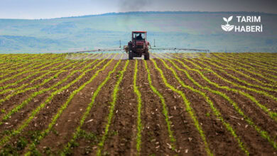 Yozgat İl Tarım ve Orman Müdürlüğü'nden 2025 Yılı Değerlendirmesi