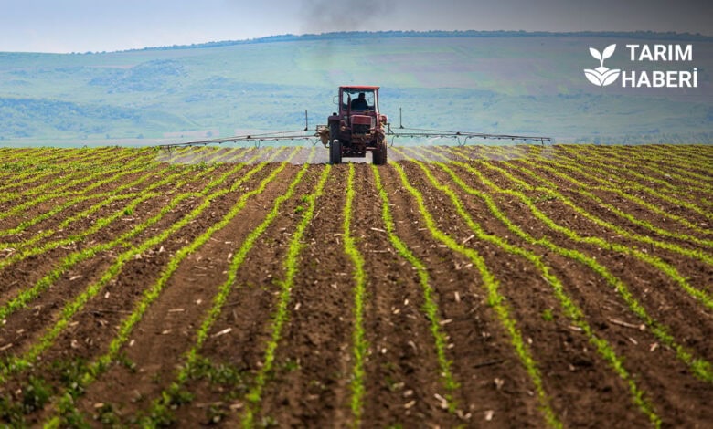 Yozgat İl Tarım ve Orman Müdürlüğü'nden 2025 Yılı Değerlendirmesi