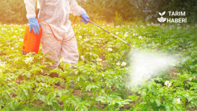 Zirai ilaçlar hakkında bilgiler