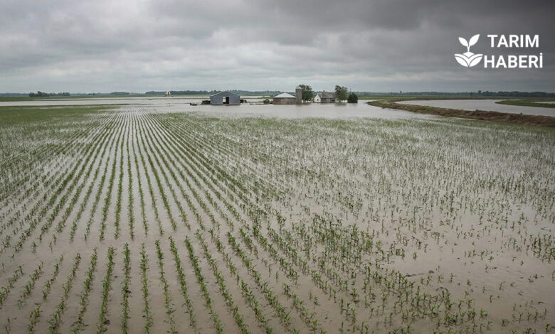 Altyapı sorunları tarımı olumsuz etkiliyor