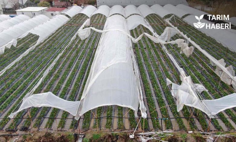 Antalya'daki Sel Felaketinden Etkilenen Çiftçilere 586 Milyon Lira Destek