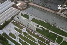 Şiddetli Yağışların Maddi Zararı 300 Milyon Lira Civarında