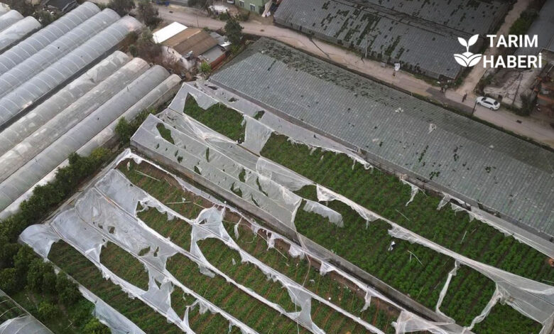 Şiddetli Yağışların Maddi Zararı 300 Milyon Lira Civarında