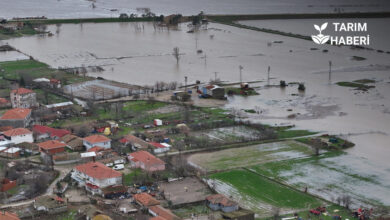 Edirne'de sedde patladı, tarım arazileri sular altında kaldı