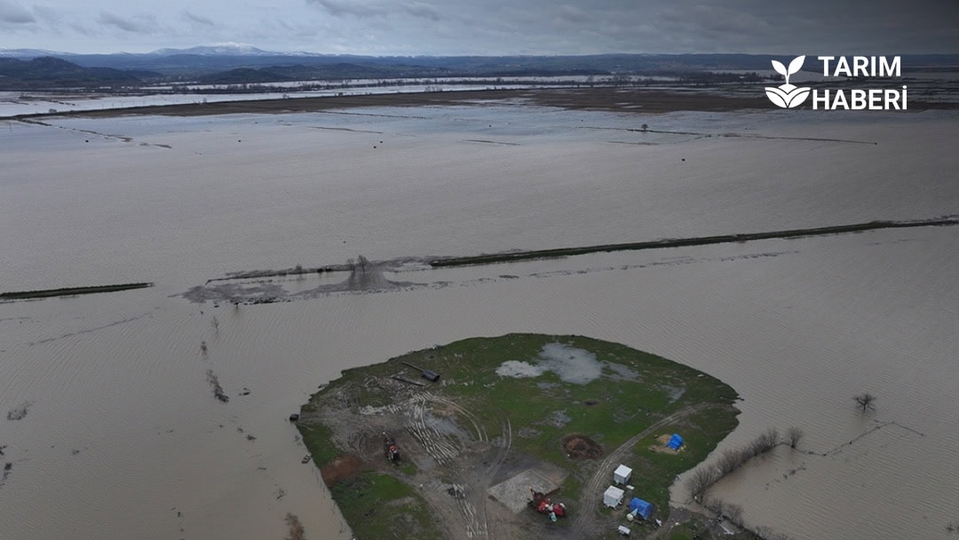 Edirne'de taşkından etkilenen tarım arazileri
